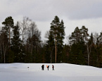 Moscow Country Club приглашает всех на зимний гольф